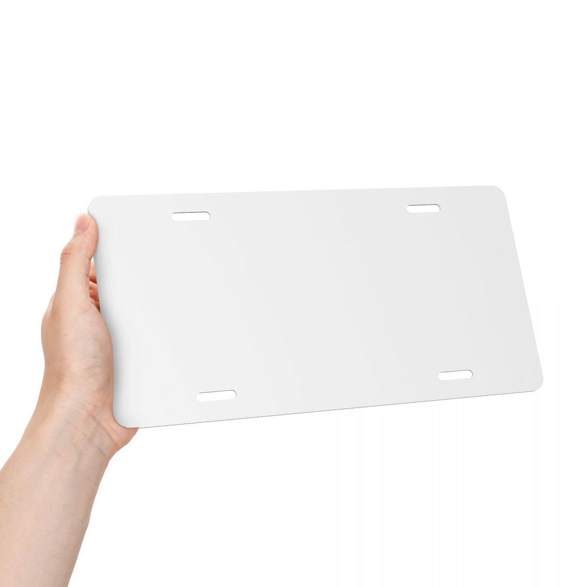 License Plate 6" x 12"