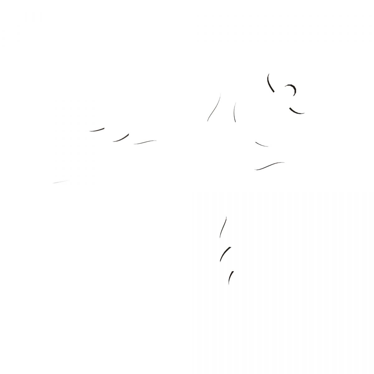 Christmas Wooden Ornaments