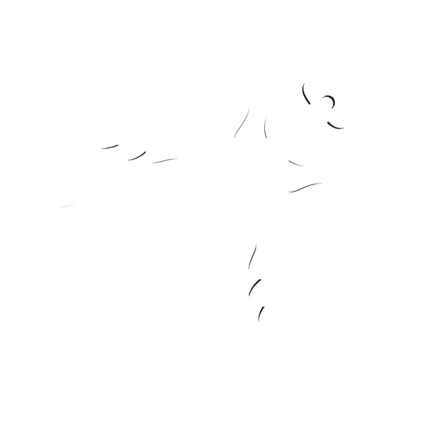 Christmas Wooden Ornaments