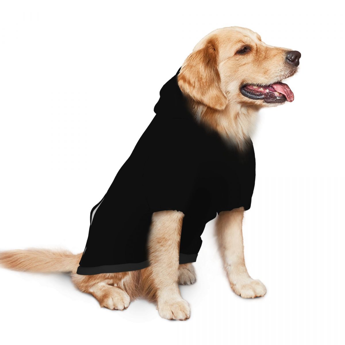 Dog Hoodie