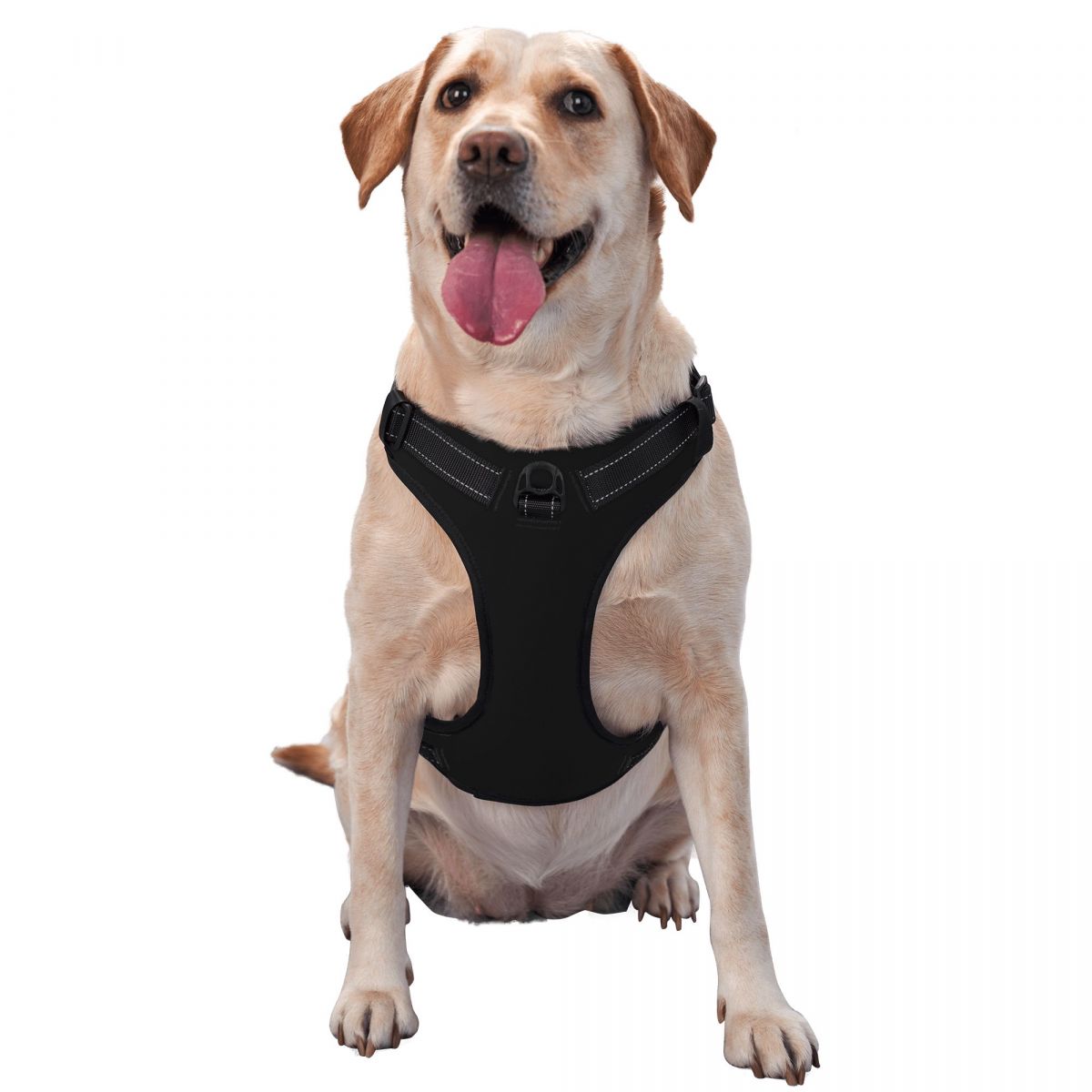 Dog Harness